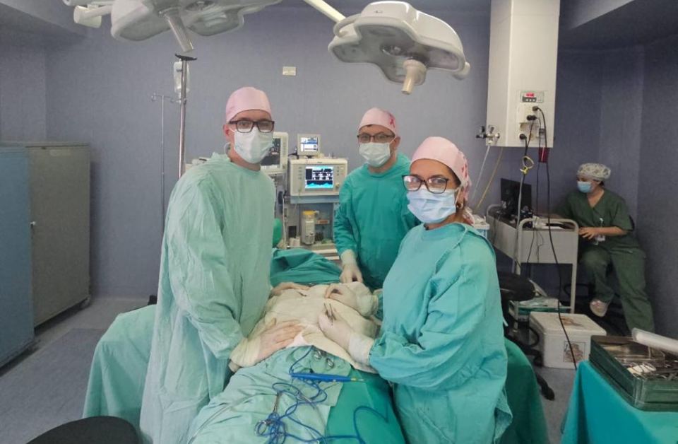 cirugia oncoplastica - dra laura ruiz diaz